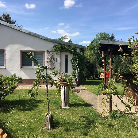 Ferienhaus An Der Selke Meisdorf Zewnętrze zdjęcie