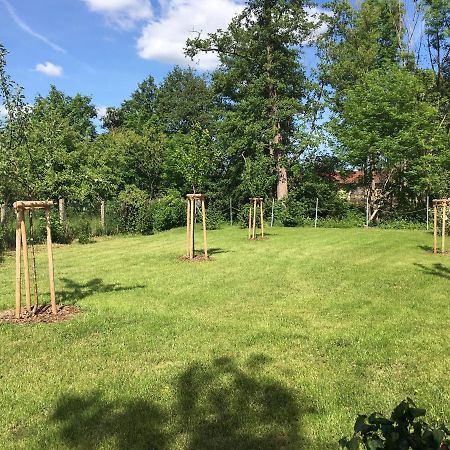 Ferienhaus An Der Selke Meisdorf Zewnętrze zdjęcie