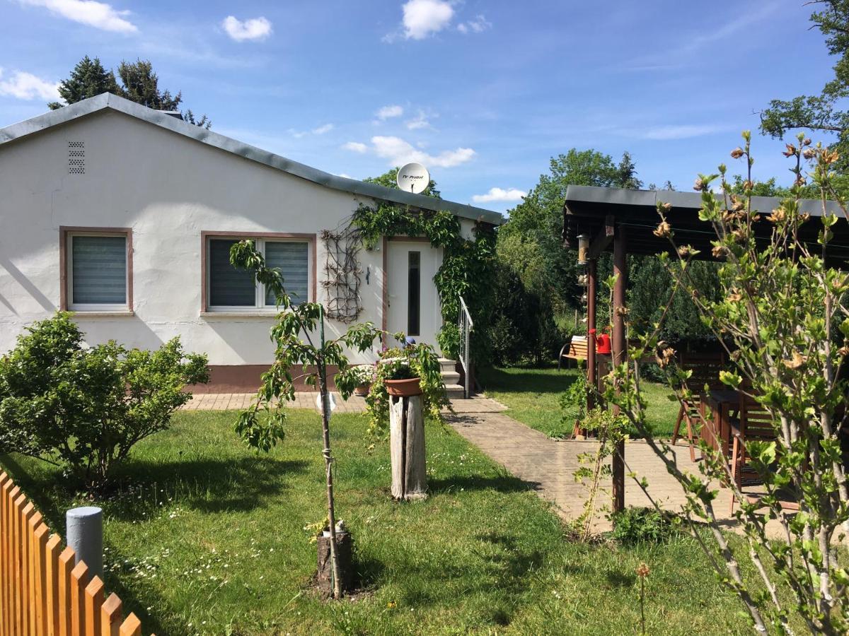 Ferienhaus An Der Selke Meisdorf Zewnętrze zdjęcie