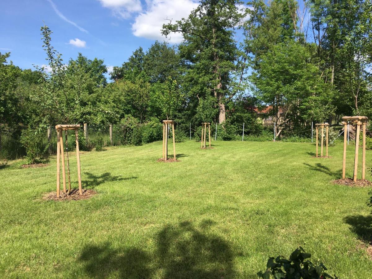 Ferienhaus An Der Selke Meisdorf Zewnętrze zdjęcie