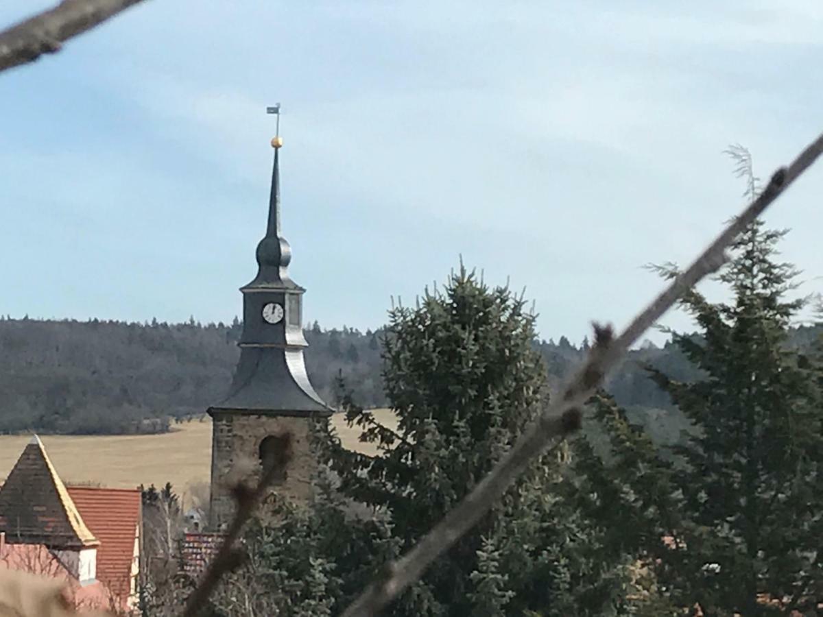 Ferienhaus An Der Selke Meisdorf Zewnętrze zdjęcie